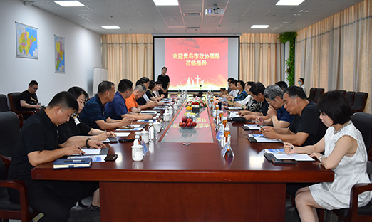 今日头条 数字山东：青岛政协多名驻会常委莅临pg电子工业园旅行指导