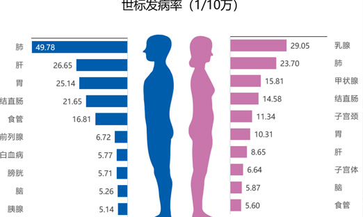 国家癌症中心：2022年天下癌症报告