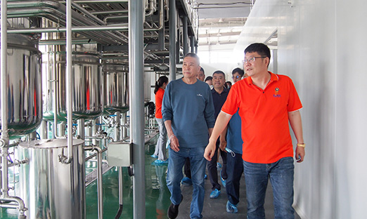 pg电子植物胚性干细胞手艺将为即墨黄酒工业赋能