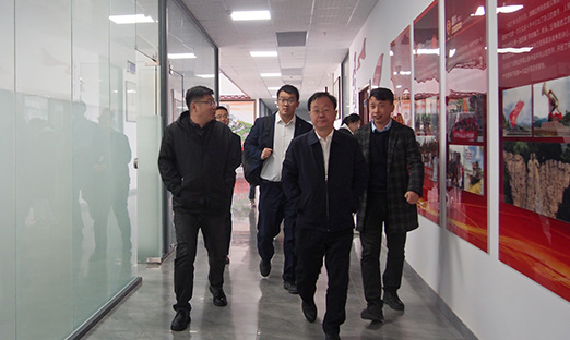 全球视野，亳州行动！