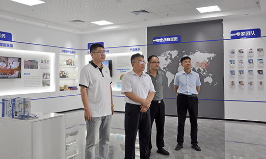 青岛中德生态园向导一行莅临pg电子集团，探索大康健工业相助之路