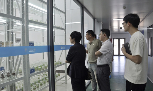 青岛市农业农村局种业处、财通集团一行莅临集团指导